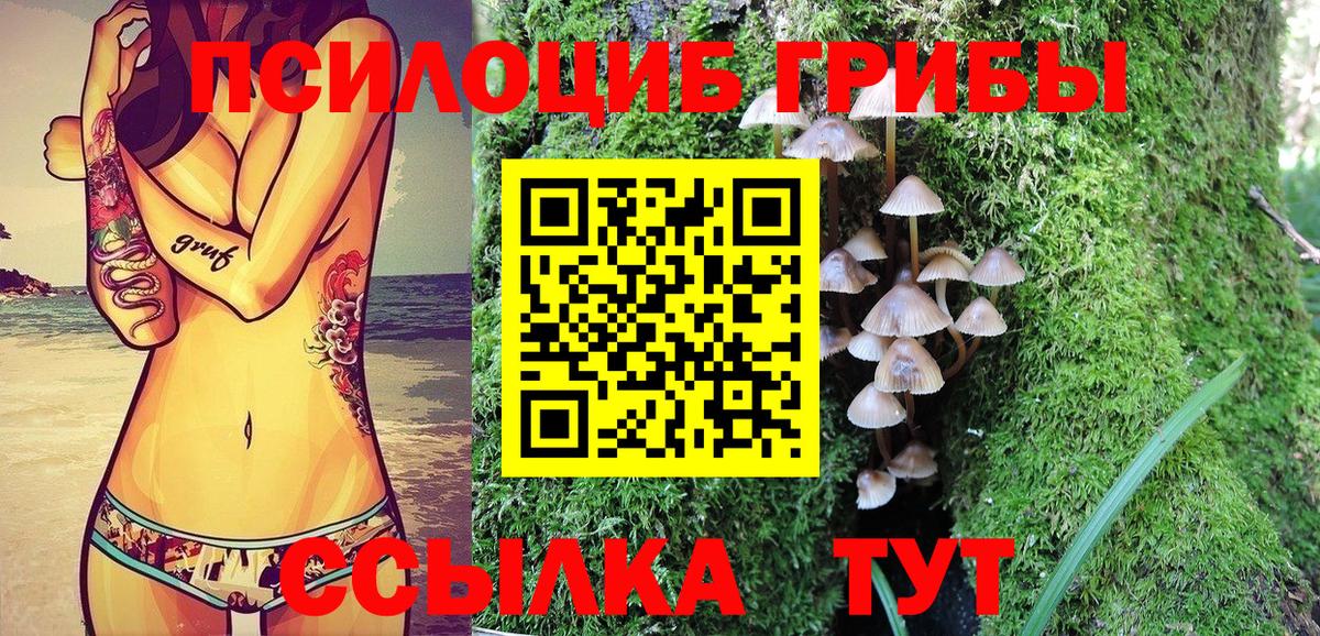 Гудермес  Псилоцибиновые грибы Psilocybine cubensis  Галлюциногенные грибы ЛСД  Вход с VPN 