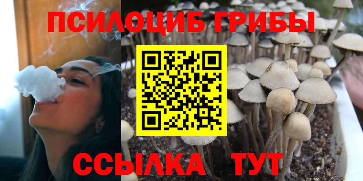 Псилоцибиновые грибы GOLDEN TEACHER Гудермес